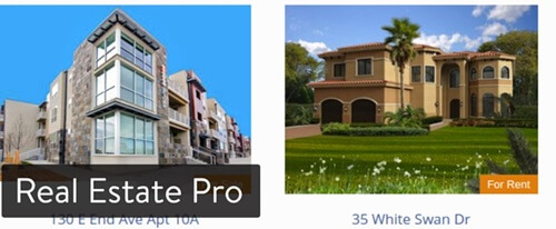 Real Estate Pro