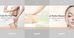 SKINの特徴1